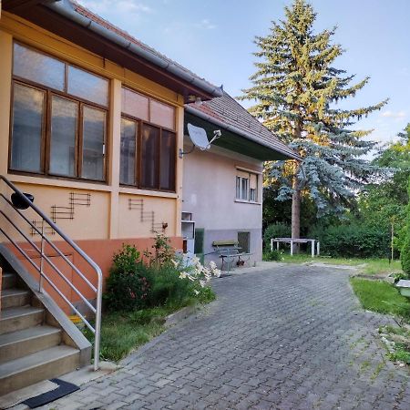 Apartamento Zadora Haus Săcele Exterior foto